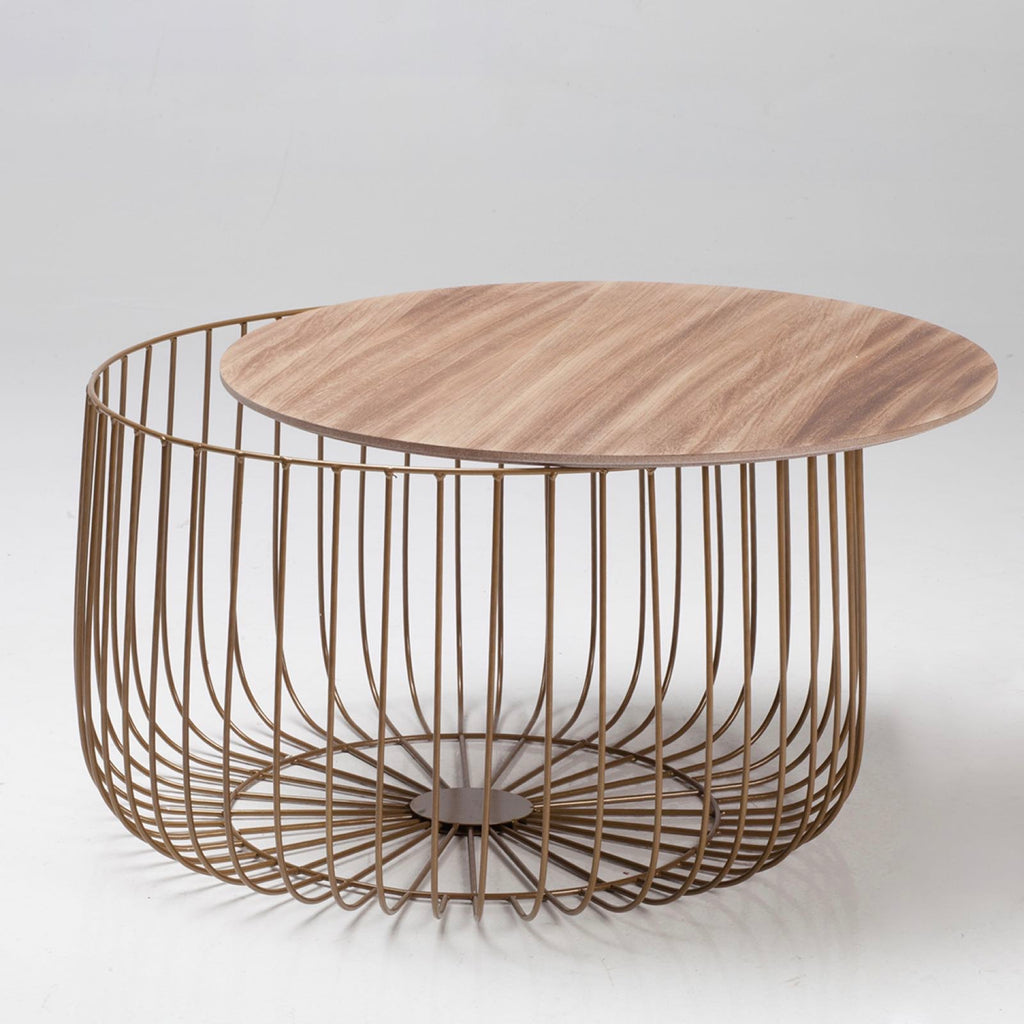 Enzo Oak & Gold Coffee Table